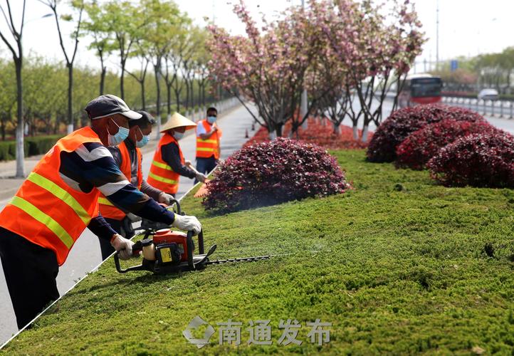 大型园林景观设计植物种植设计